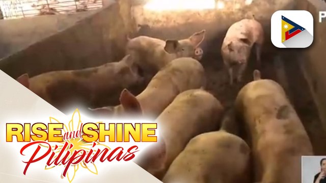 Presyo ng karneng baboy, posibleng tumaas pa ng 20 pesos kada kilo