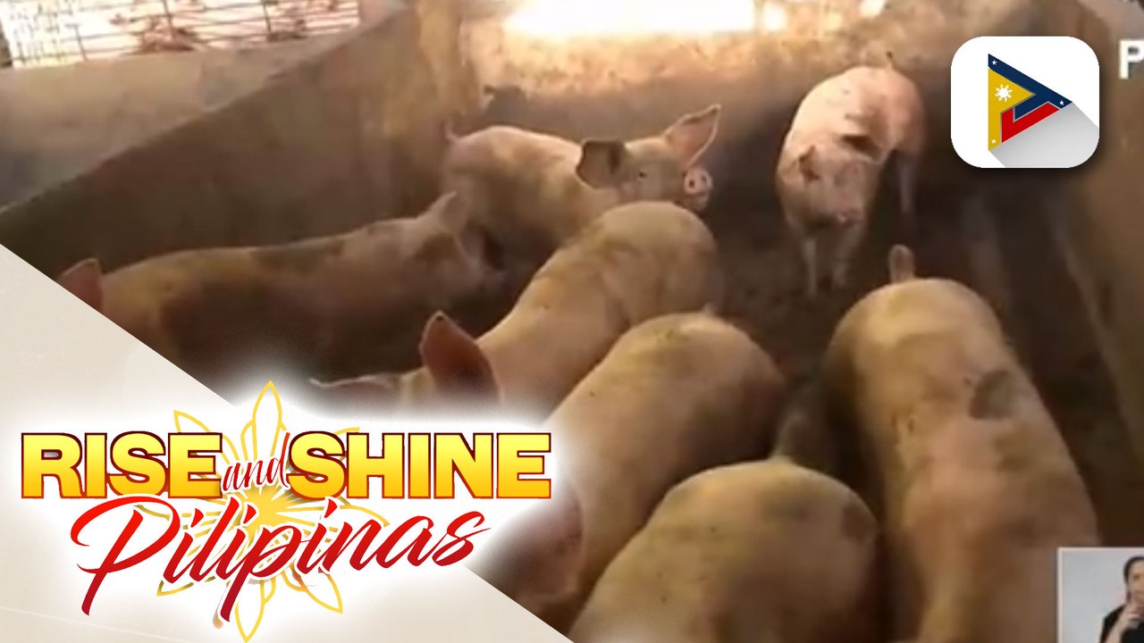 Presyo ng karneng baboy, posibleng tumaas pa ng 20 pesos kada kilo