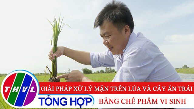 Nông nghiệp bền vững: Giải pháp xử lý mặn trên lúa và cây ăn trái bằng chế phẩm vi sinh