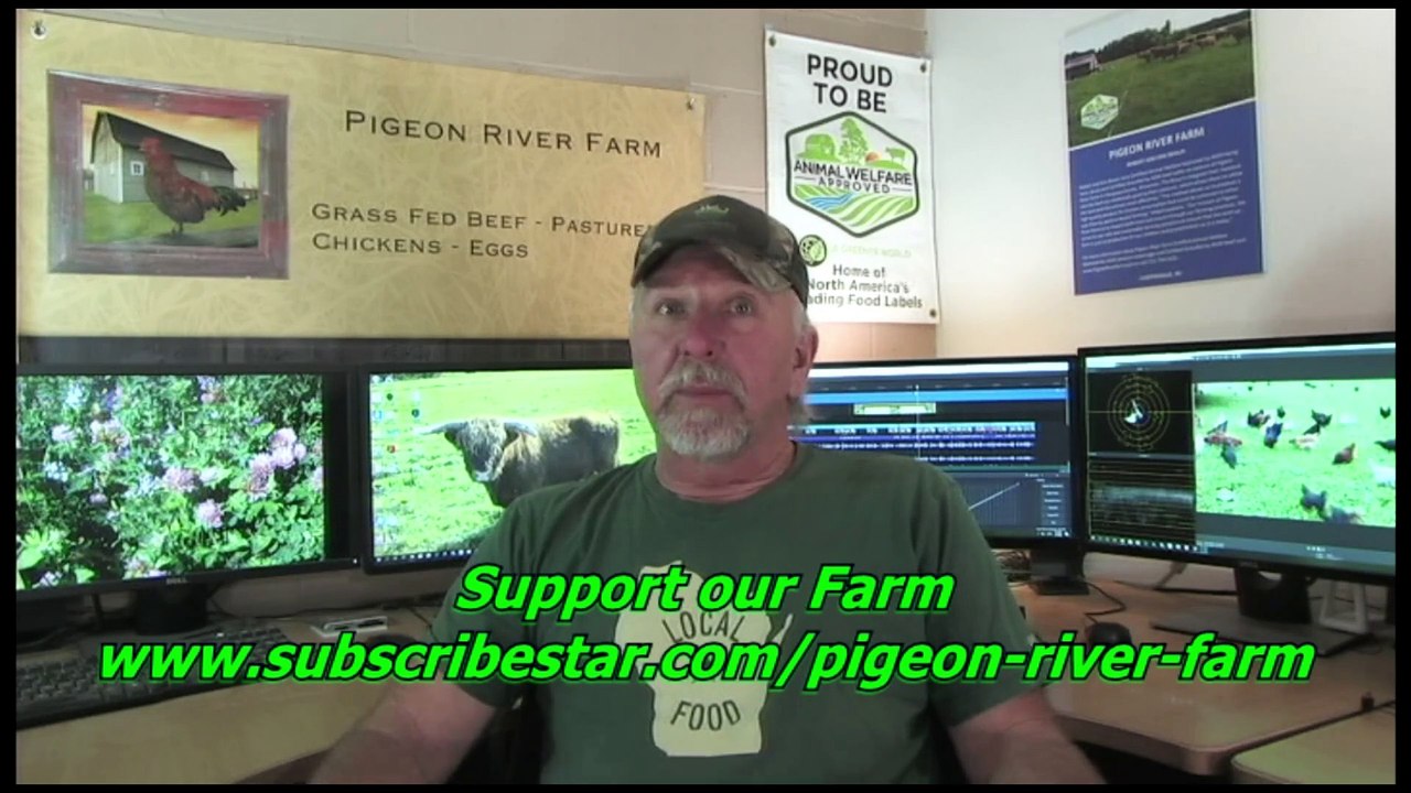 Starting A Small Homestead Farm part 2 Livestock