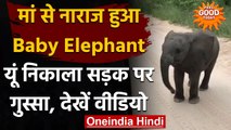Feel Good today: Baby Elephant मां से हुआ नाराज, VIDEO में देखें फिर क्या हुआ | वनइंडिया हिंदी