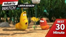 RANDOM PLAY I Watch 30 minutes a day!! I Ep.50I Larva Cartoon I Larva Official Channel  I part.2