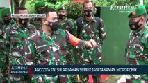 Anggota TNI Sulap Lahan Sempit Jadi Tanaman Hidroponik