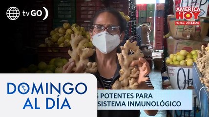 Los alimentos potentes para fortalecer el sistema inmunológico | Domingo Al Día