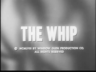 THE RESTLESS GUN - THE WHIP