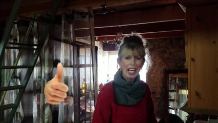 B23  - Garten-Zwerhuhn-Blog / Renovierung, Zickenkrieg bei Zwerghühnern