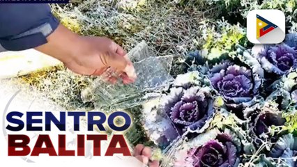 Temperatura sa Atok, Benguet, bumaba sa 7 °C