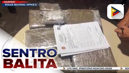 P2.5-M halaga ng marijuana, nasabat mula sa isang high-value individual sa Pampanga