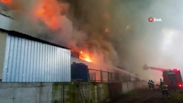 Tavuk çiftliği alev alev yandı! Binlerce civciv telef oldu