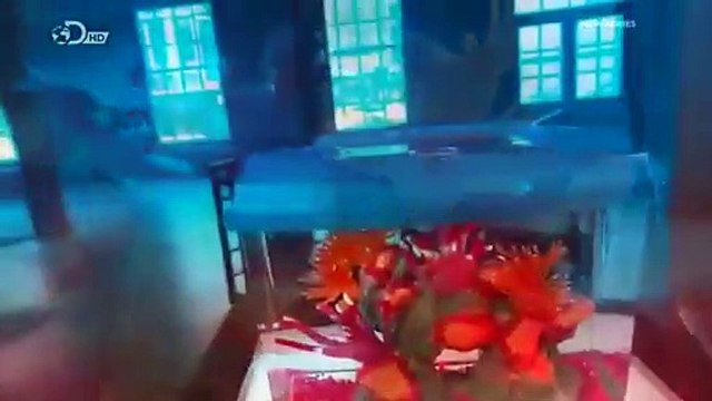 How Its Made - 953 Reef Aquariums