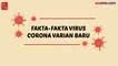Videografis: Fakta-fakta Virus Corona Varian Baru
