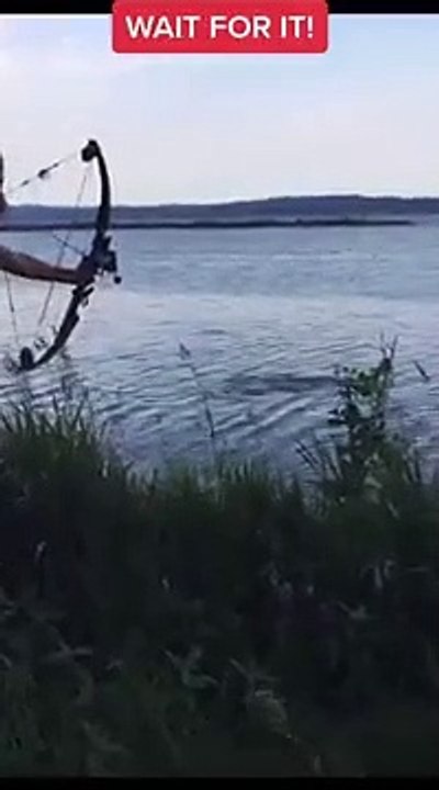 Extraordinary fish  hunting