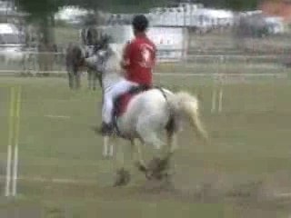 Joel et karine 2007 5 drapeaux