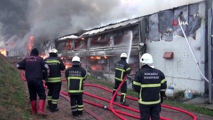 İtfaiye Eri Telef Olan Civcivleri Ağzıyla Hava Vererek Hayata Döndürmeye Çalıştı