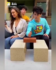 funny dog vs monkey video ll funny video ll comedy videos ll zili funny video ll funny tik tok video