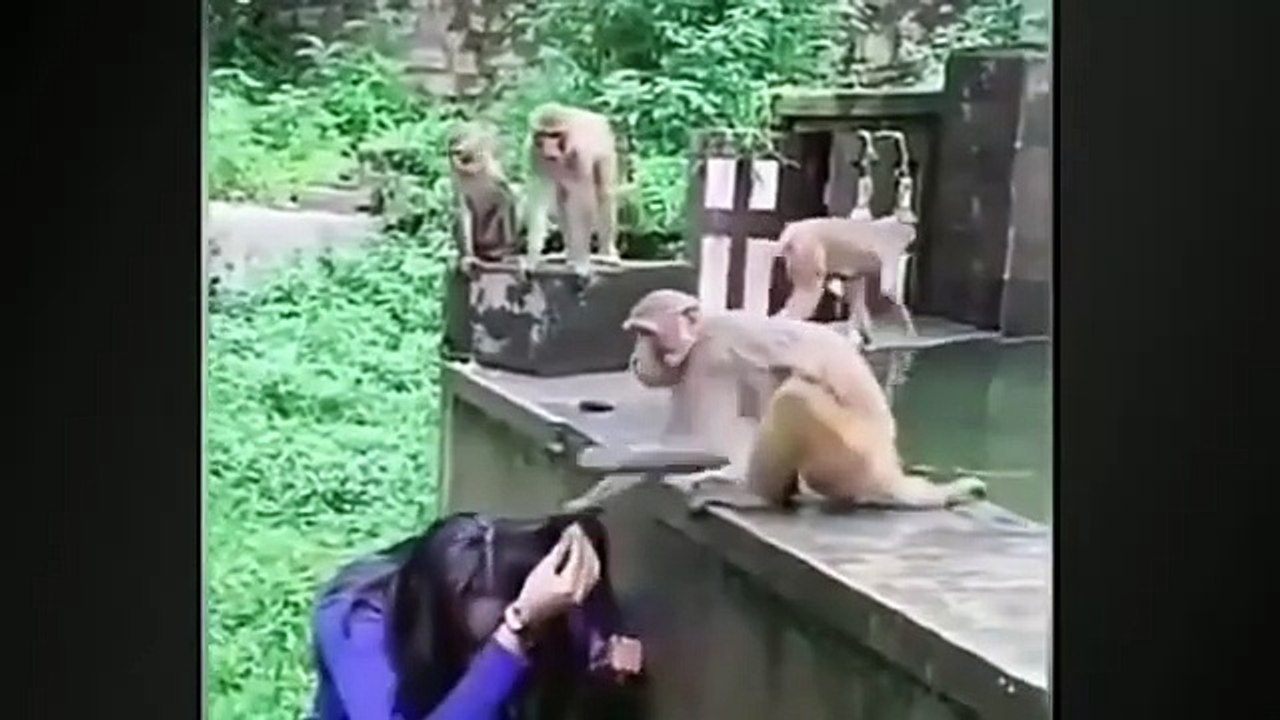 Funny video