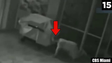 15 Scary Videos That'll Make You Look Behind Your Shoulder