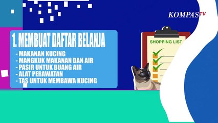 Berencana Memelihara Kucing? Wajib Persiapkan 7 Hal Berikut