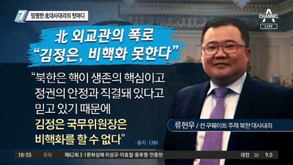 망명한 北 대사대리의 첫마디…“김정은 비핵화 못해”