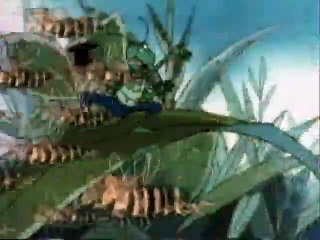 La Abeja Maya - 1x01. El nacimiento