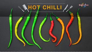 HOT CHILI - HAPPY COOKING - DIY MUSIC¦ Download [Free Copyright-safe Music]