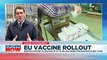 COVID-19 vaccine: BioNTech/Pfizer pledge up to 75 million extra doses to EU