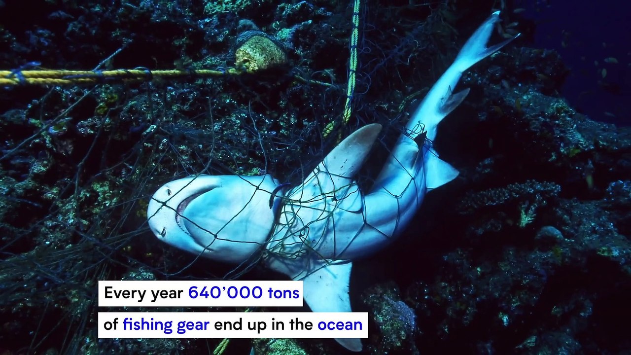 Good Net Project - FIVB x Ghost Fishing