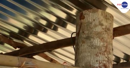 ข่าวค่ำ (ช่วงที่ 2) วันจันทร์ที่ 1 กุมภาพันธ์ 2564