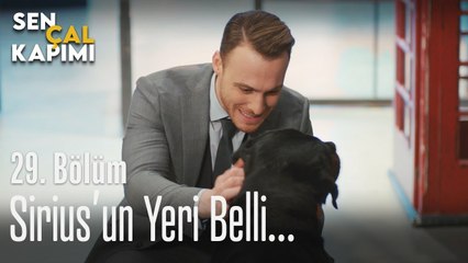 Sirius'un yeri belli... - Sen Çal Kapımı 29. Bölüm