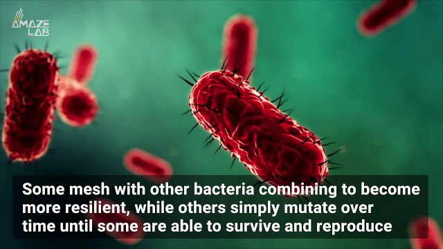 Bacteria Can Change Shape to Survive Antibiotics