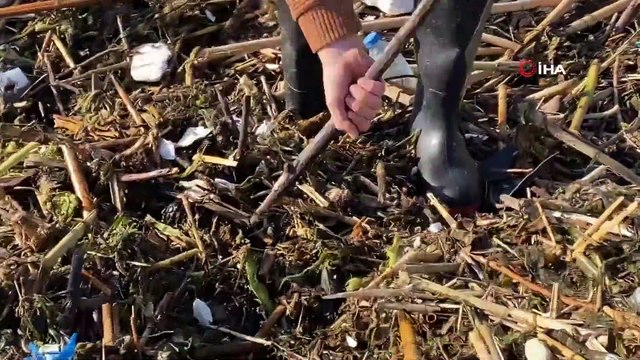 Selin Getirdiği Ağaç ve Odun Parçaları İhtiyaç Sahiplerine Yakacak Oldu