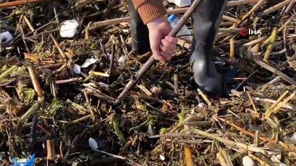 Selin Getirdiği Ağaç ve Odun Parçaları İhtiyaç Sahiplerine Yakacak Oldu