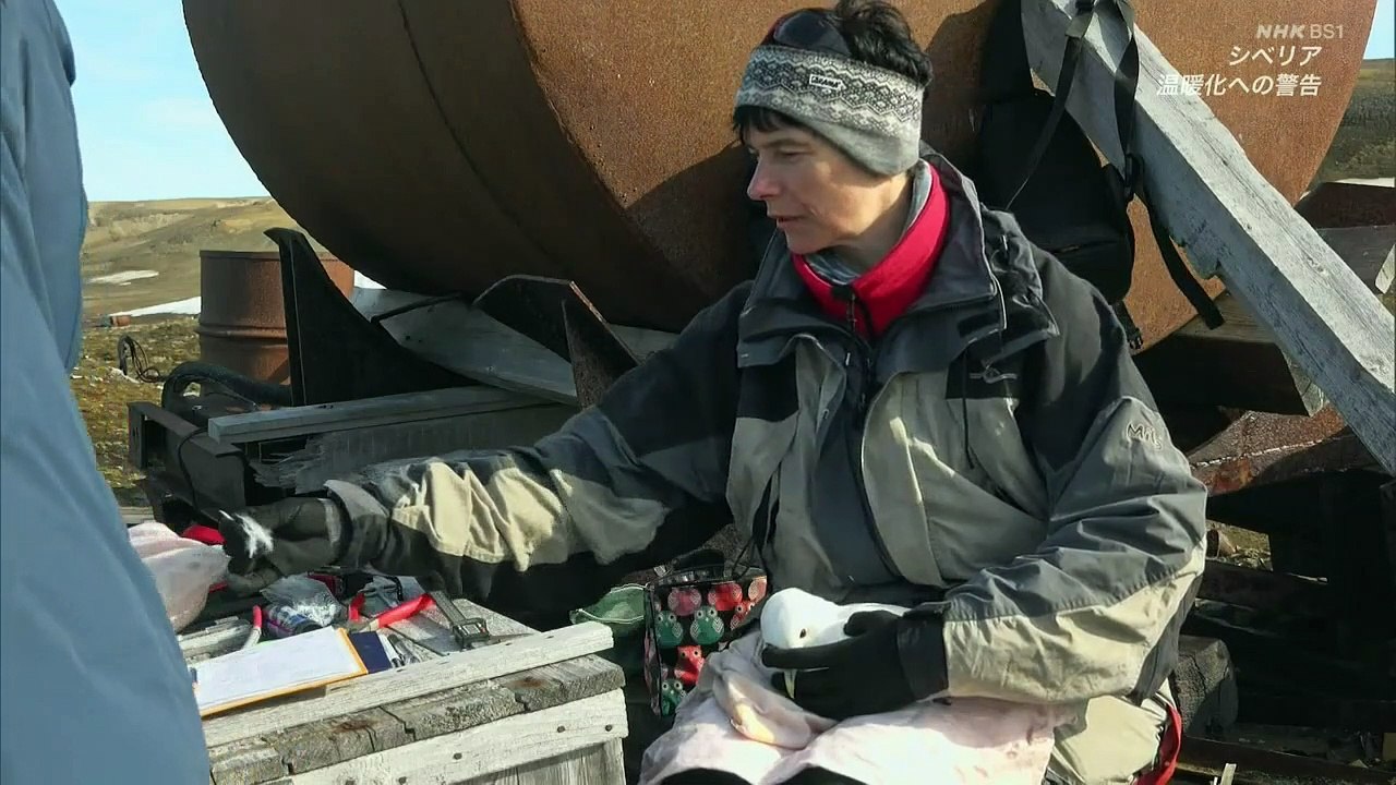 薄氷のシベリア 温暖化への警告