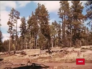 Bonanza Season 12 Episode 28 An Earthquake Called Callahan