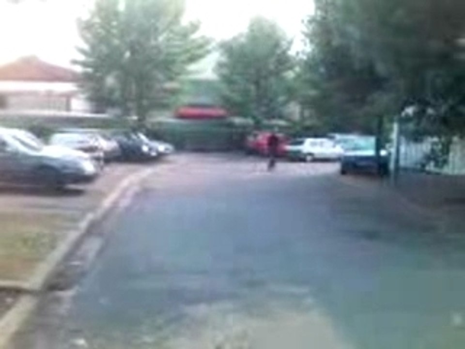Walkjg