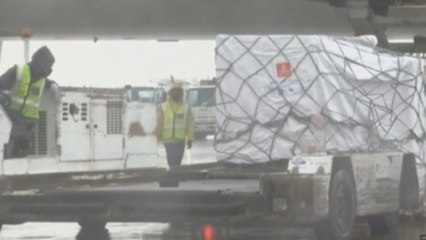 Sudáfrica, epicentro de la covid-19 en África, recibe sus primeras vacunas