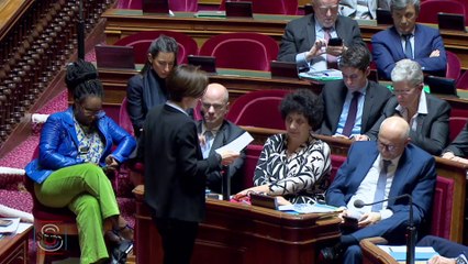 Covid-19 : la première question au gouvernement consacrée au coronavirus