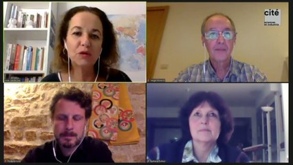 De l'émergence du virus à la pandémie