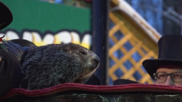 Virtual Groundhog Day impacts businesses