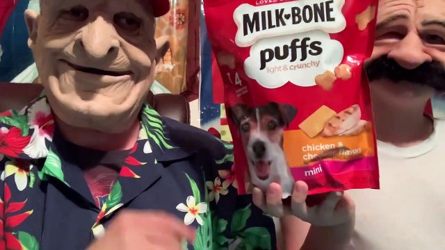 Reviewing dog food from Chewy