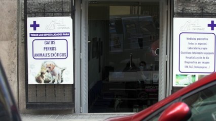 María Patiño, feliz tras la exitosa operación de su chinchilla