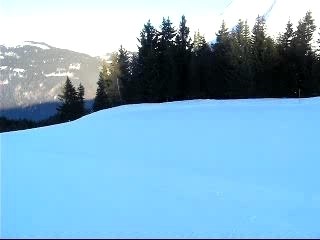 saut magnifik