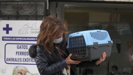 María Patiño, feliz tras la exitosa operación de su chinchilla