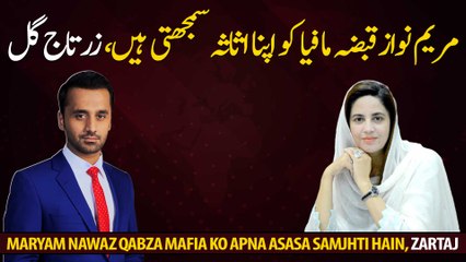 Maryam Nawaz considers occupation mafia as her asset, Zartaj Gul