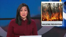 Forest officials expect year-round wildfire seasons