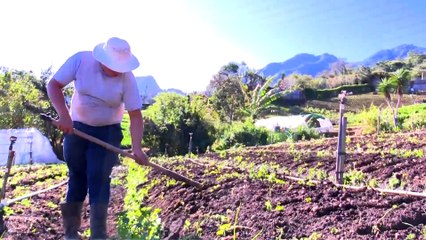 Soluciones del Trece - Miércoles 03 de febrero del 2021