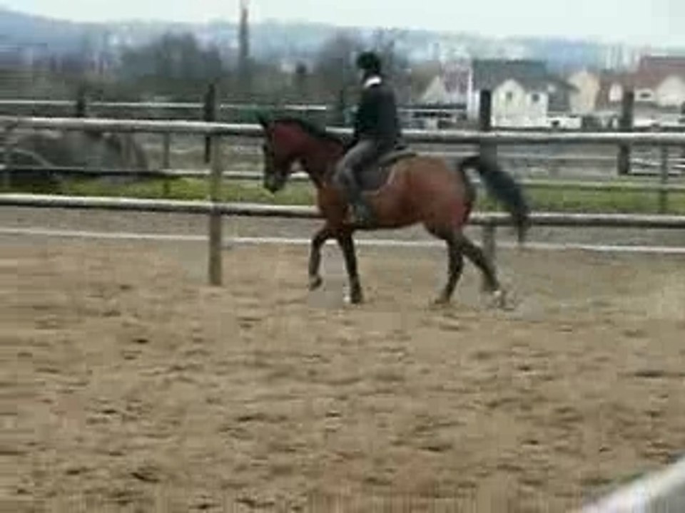 cours cso 23/02