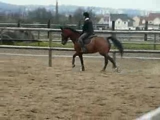 cours cso 23/02