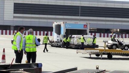 "طيران الامارات" تخطط لنقل لقاحات كورونا لدول العالم بشكل يومي