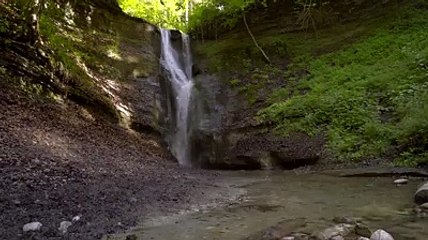 #forest birds singing--#relaxation-#soothing-music #stress#Relaxing Music #Stress #Relief #Insomnia #MeditationBirdssingingwithsoothingpianomusic #The most#relaxing#pianoSoothingForestRain#Birdssinging#MeditationHealing